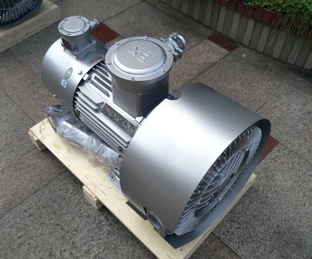 变频防爆漩涡气泵 变频防爆漩涡气泵