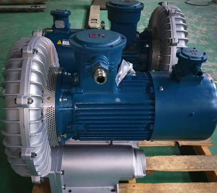 单段式防爆漩涡式气泵 单段式防爆漩涡式气泵